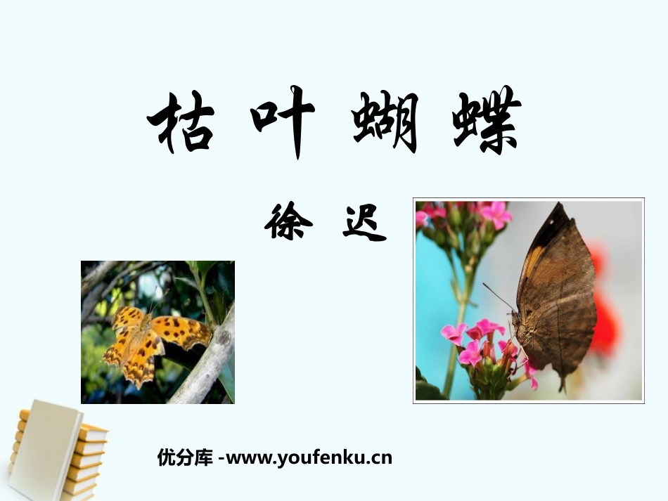 《枯叶蝴蝶》PPT课件[鲁教版七年级语文上册]_第1页