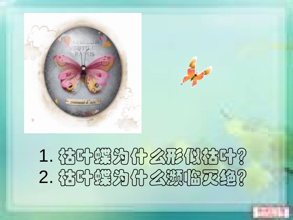 《枯叶蝴蝶》PPT课件[鲁教版七年级语文上册]_第3页