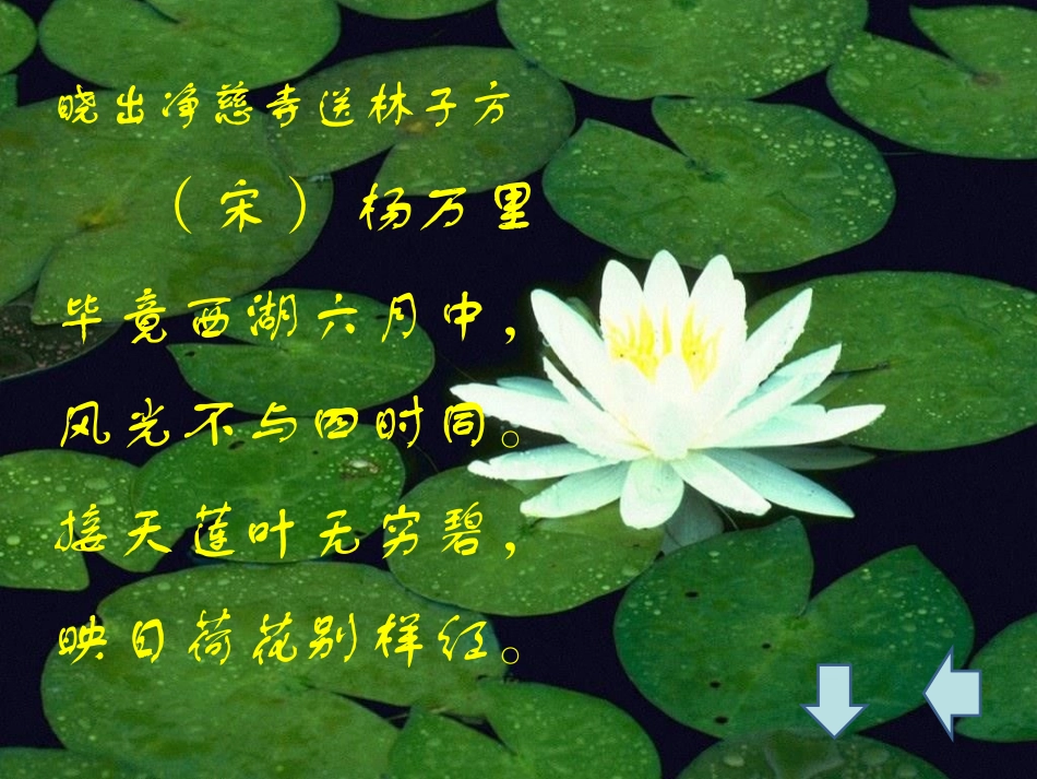 《爱莲说》PPT课件[鲁教版七年级语文上册]_第2页