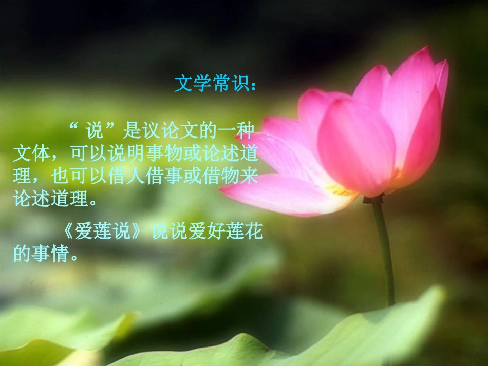 《爱莲说》PPT课件[鲁教版七年级语文上册]_第3页