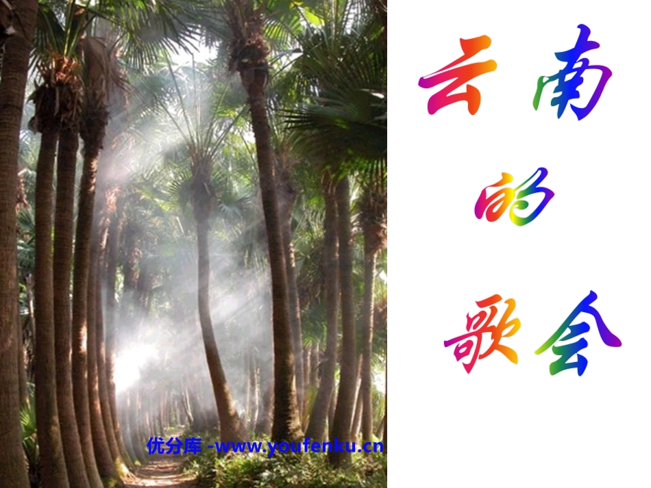 《云南的歌会》PPT课件[鲁教版八年级语文上册]_第1页
