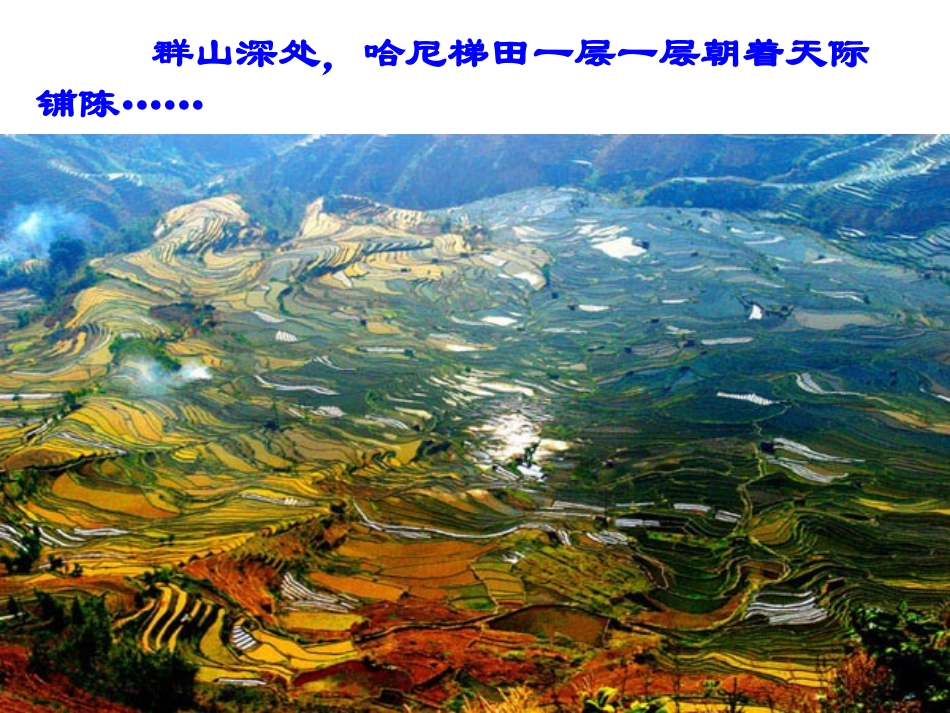 《云南的歌会》PPT课件[鲁教版八年级语文上册]_第2页