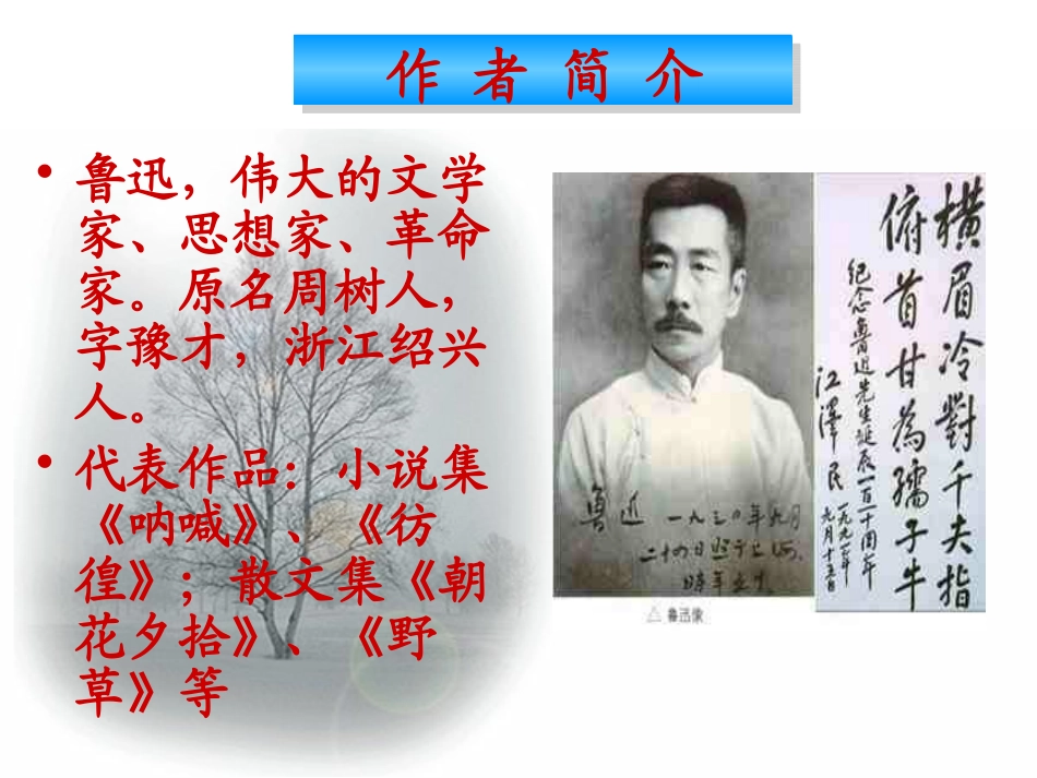 《雪》PPT课件[鲁教版八年级语文上册]_第3页