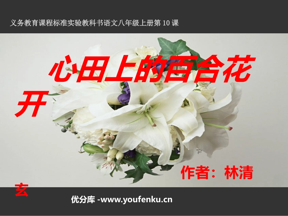 《心田上的百合花》PPT课件[鲁教版八年级语文上册]_第1页