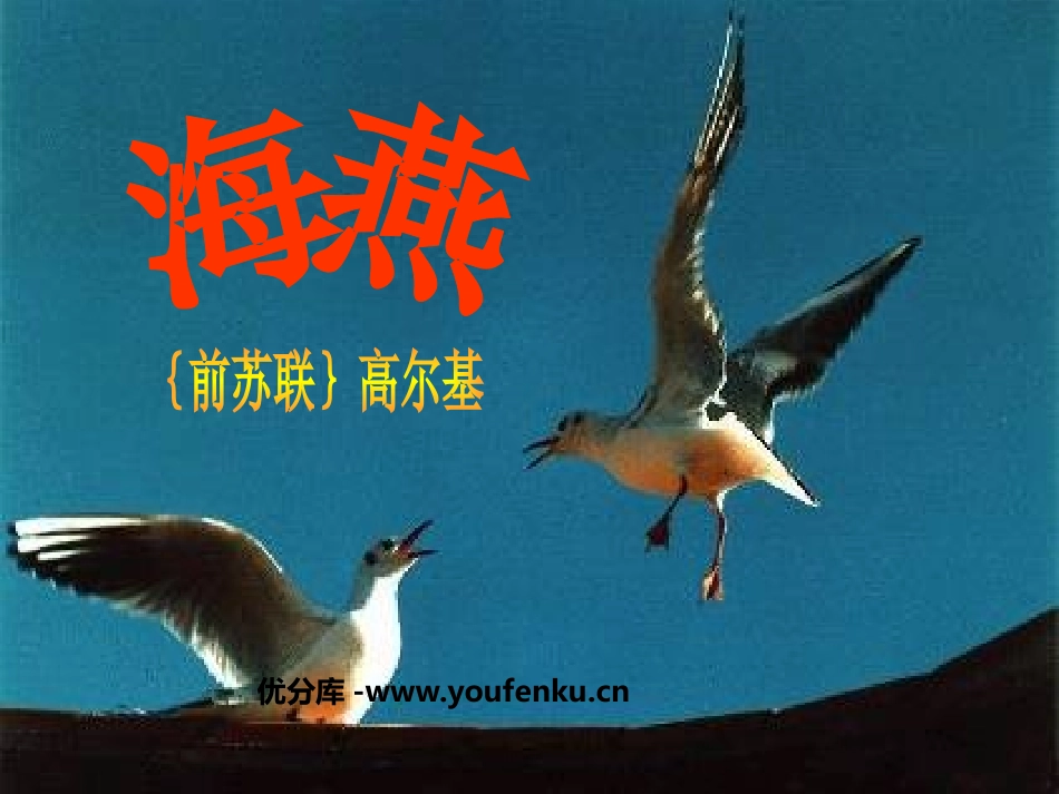 《海燕》PPT课件[鲁教版八年级语文上册]_第1页