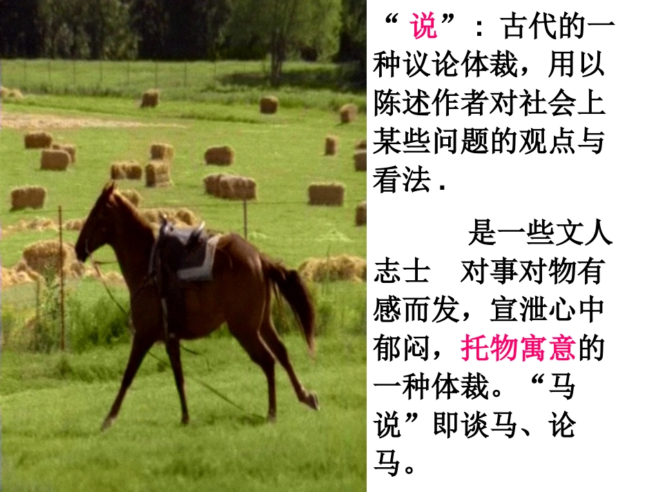 《马说》PPT课件[鲁教版八年级语文上册]_第2页