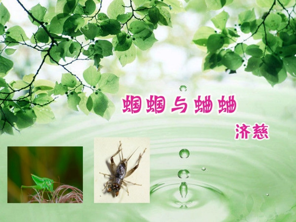 外国诗两首《蝈蝈与蛐蛐、夜》PPT课件[鲁教版九年级语文]_第3页
