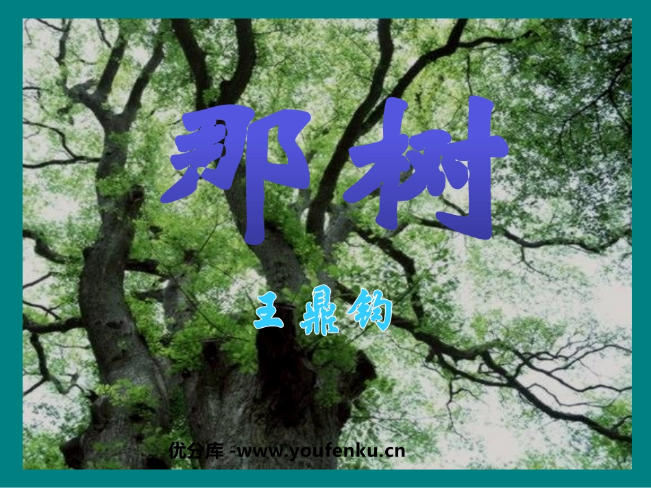 《那树》PPT课件[鲁教版九年级语文上册]_第1页