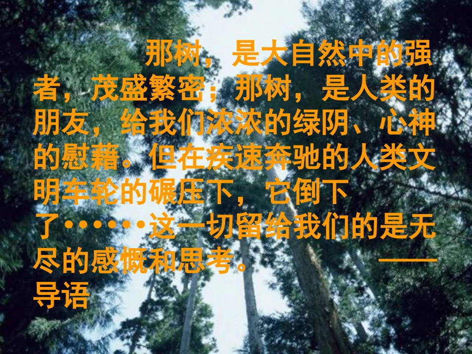 《那树》PPT课件[鲁教版九年级语文上册]_第2页