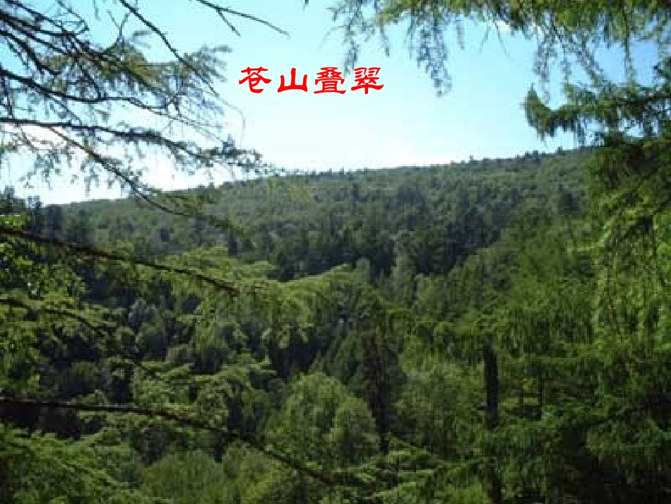 《地下森林断想》PPT课件[鲁教版九年级语文上册]_第2页