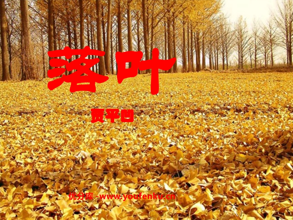 《落叶》PPT课件[鲁教版九年级语文上册]_第1页