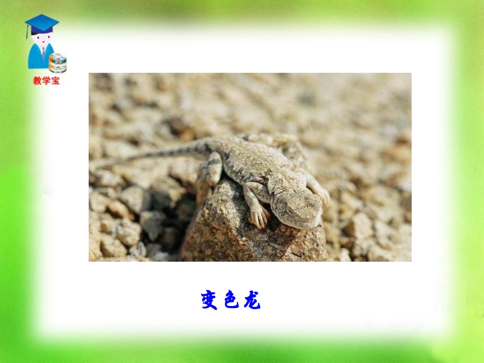 《变色龙》PPT课件[鲁教版九年级语文上册]_第2页