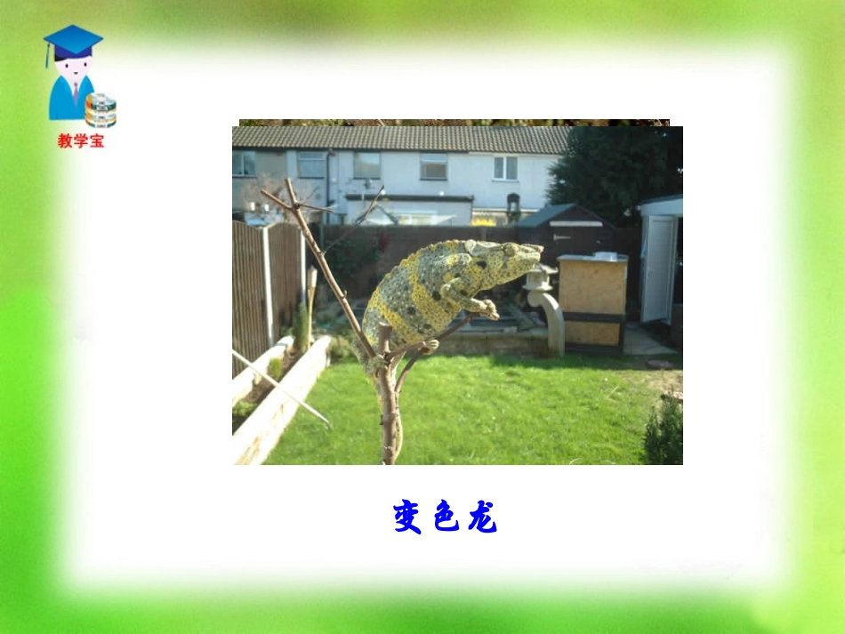 《变色龙》PPT课件[鲁教版九年级语文上册]_第3页