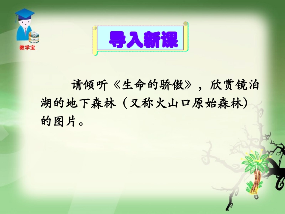 《地下森林断想》PPT课件[鲁教版九年级语文上册]_第2页
