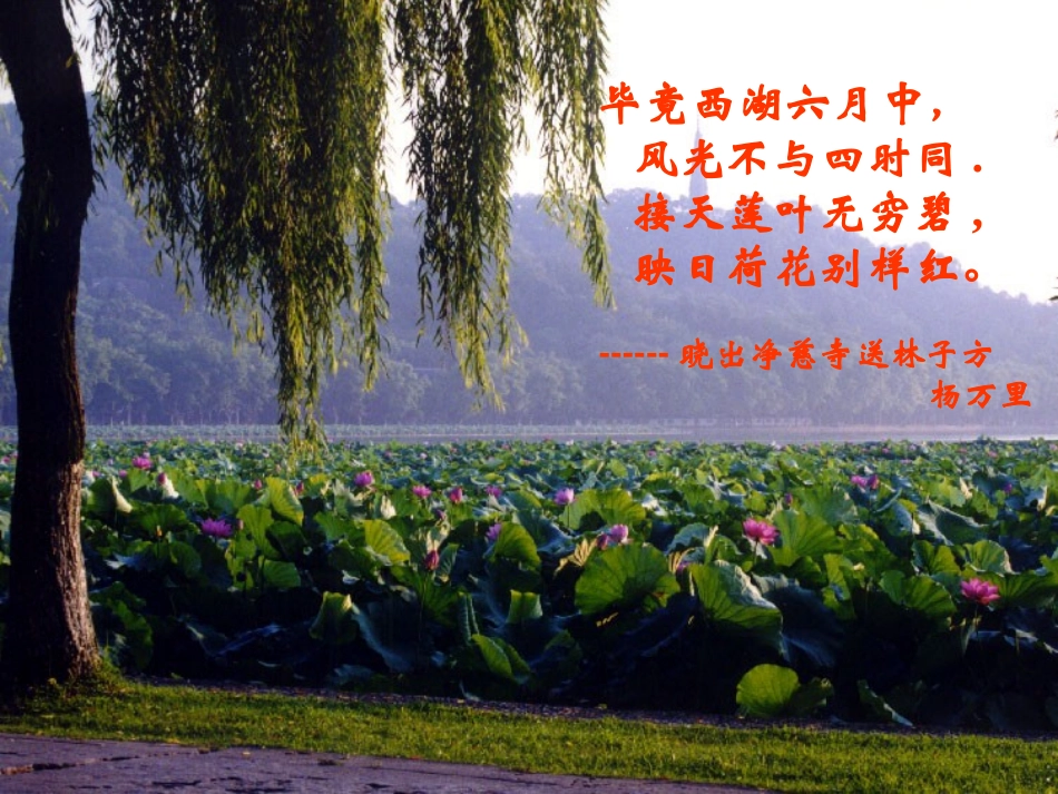 《西湖游记二则》PPT课件[鲁教版九年级语文上册]_第2页