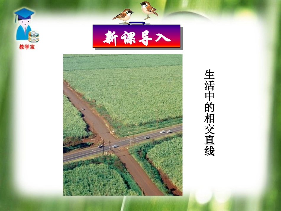 《相交线》相交线与平行线PPT课件[人教版七年级数学下册]_第2页
