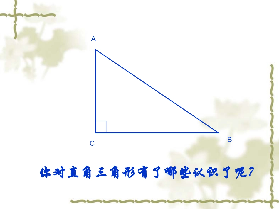 《勾股定理》PPT课件[人教版八年级数学下册]_第2页
