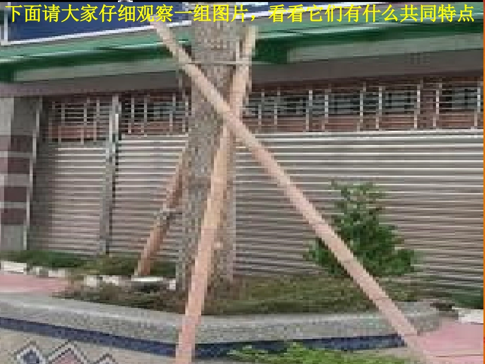 《认识三角形》三角形PPT课件[北师大版七年级数学下册]_第2页