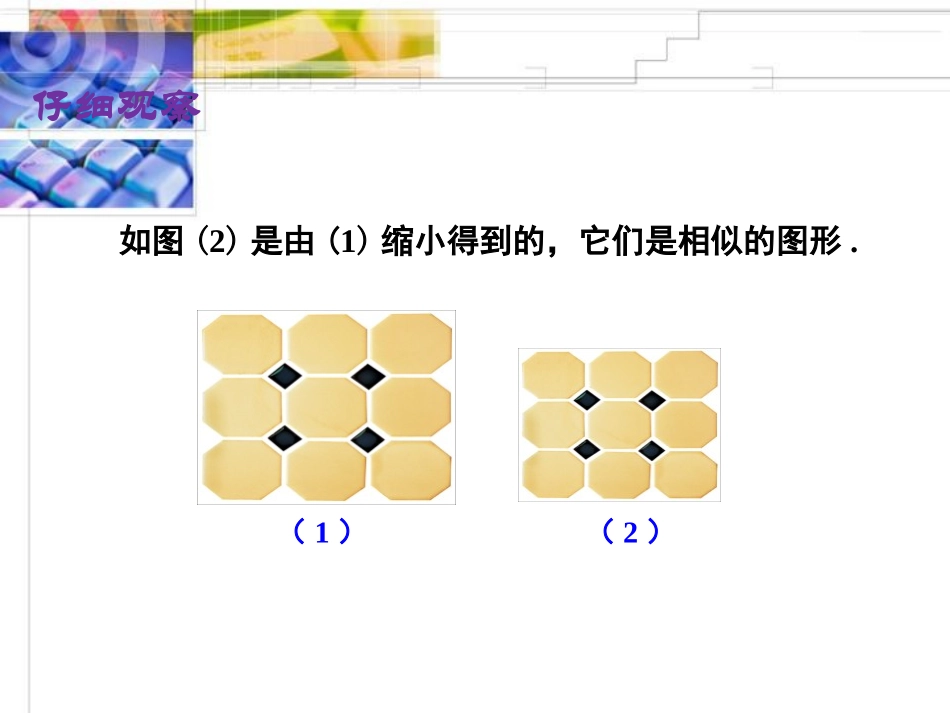 《相似多边形》相似图形PPT课件[北师大版八年级数学下册]_第2页