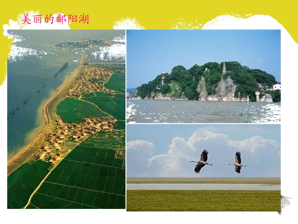 《数据的收集》数据的收集与处理PPT课件[北师大版八年级数学]_第2页