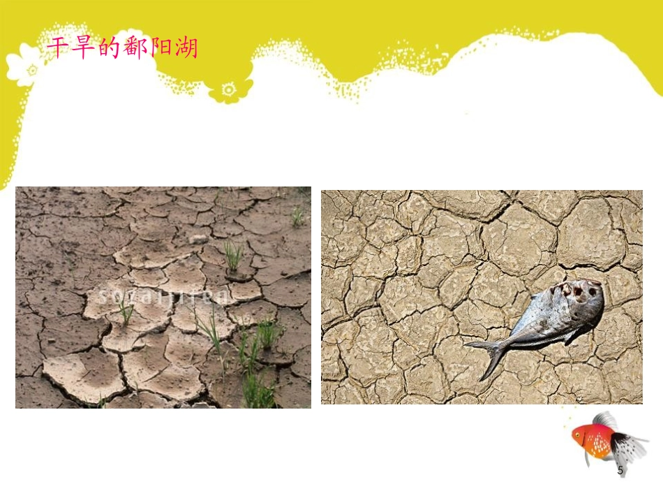 《数据的收集》数据的收集与处理PPT课件[北师大版八年级数学]_第3页