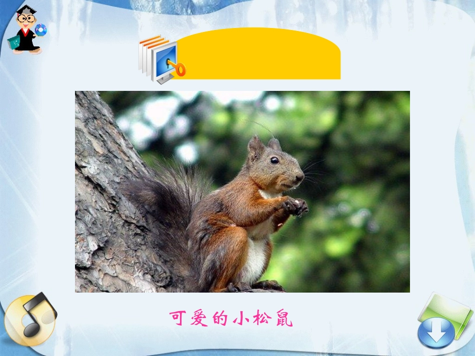 《松鼠和松果》PPT课件[鲁教版一年级语文下册]_第3页