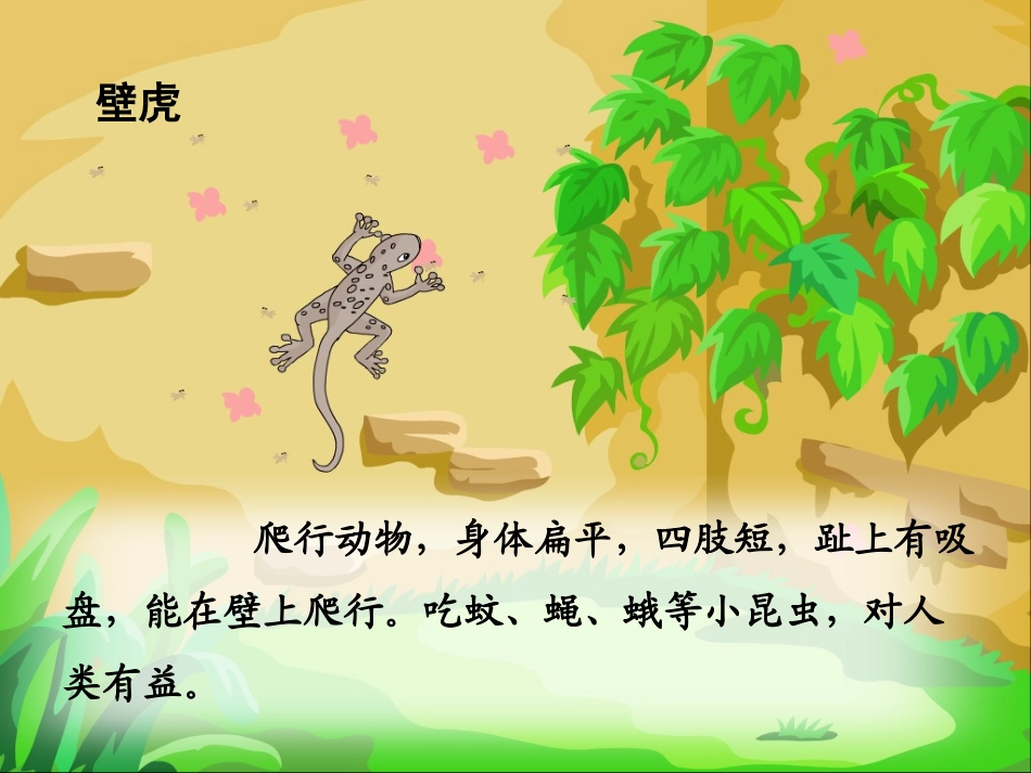 《小壁虎借尾巴》PPT课件[鲁教版一年级语文下册]_第3页