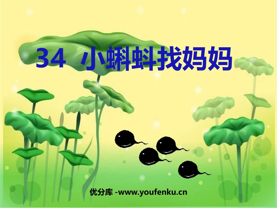 《小蝌蚪找妈妈》PPT课件[鲁教版一年级语文下册]_第1页