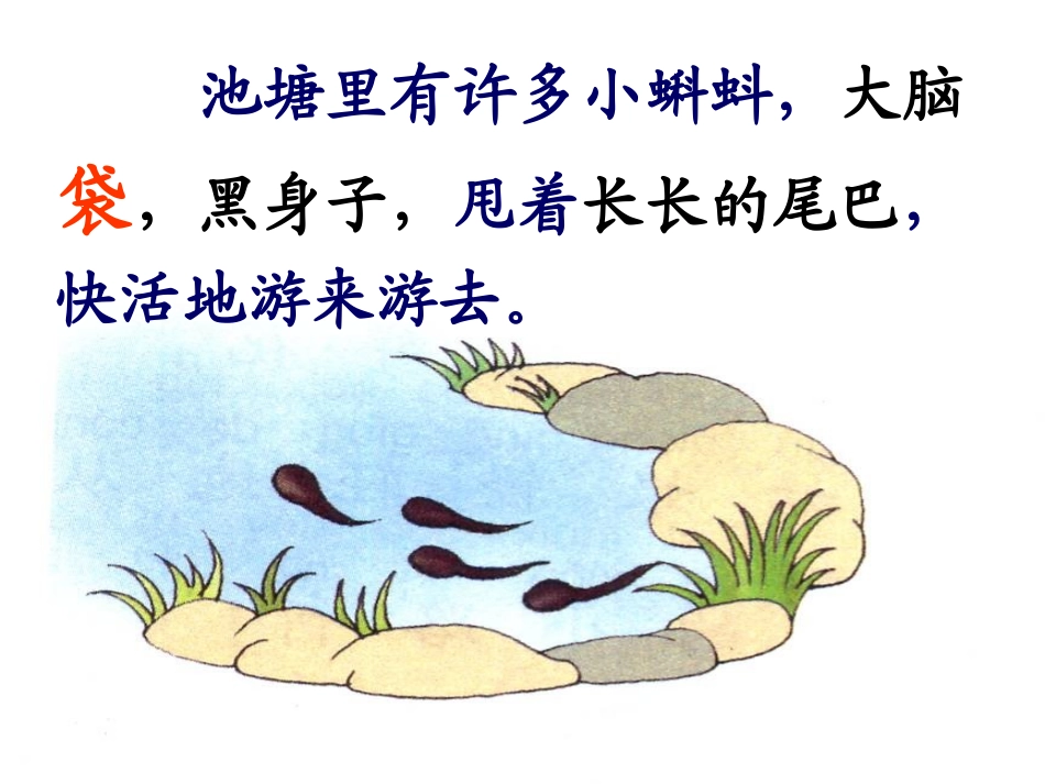 《小蝌蚪找妈妈》PPT课件[鲁教版一年级语文下册]_第2页