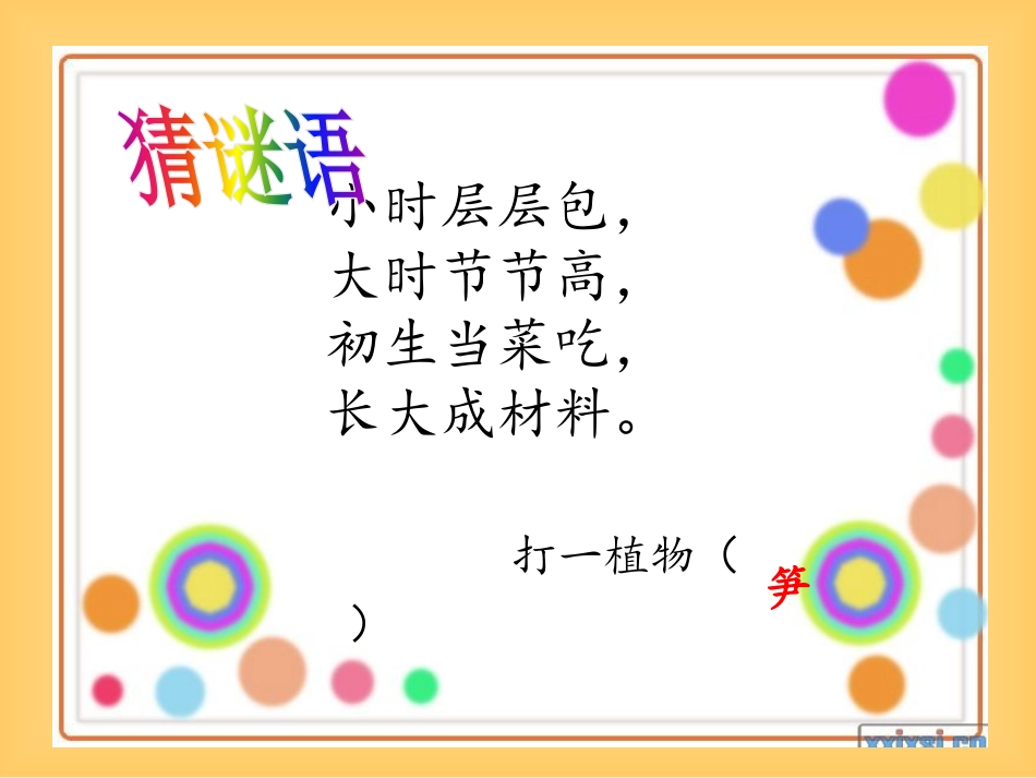 《笋芽儿》PPT课件[鲁教版二年级语文下册]_第2页