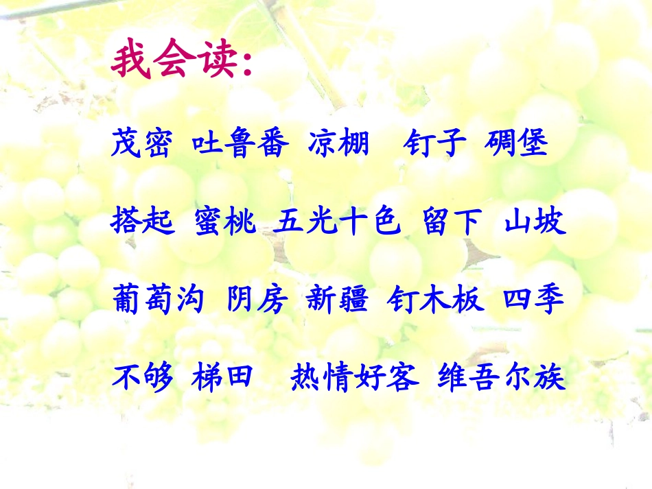 《葡萄沟》PPT课件[鲁教版二年级语文下册]_第3页