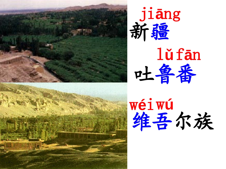 《葡萄沟》PPT课件[鲁教版二年级语文下册]_第3页