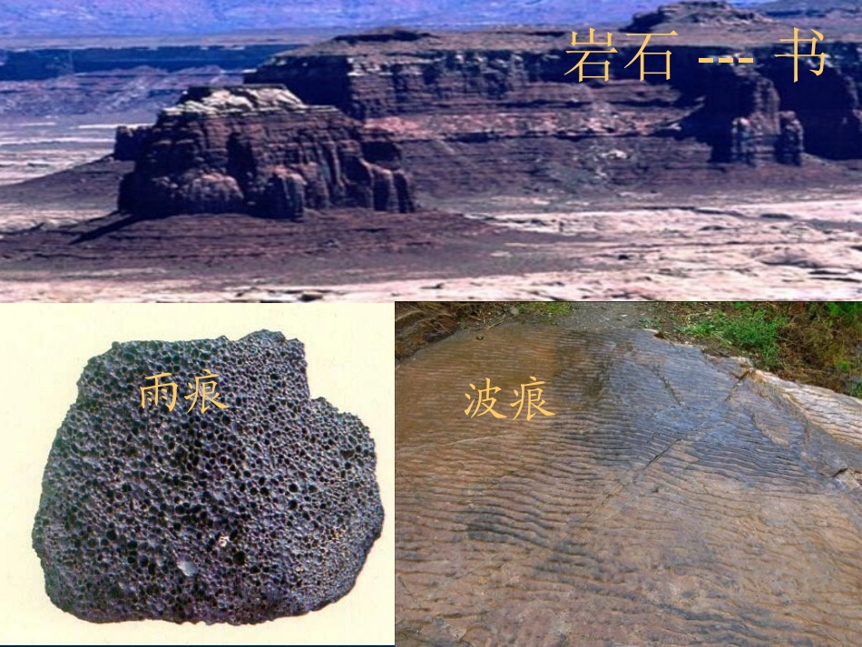 《最大的“书”》PPT课件[鲁教版二年级语文下册]_第3页