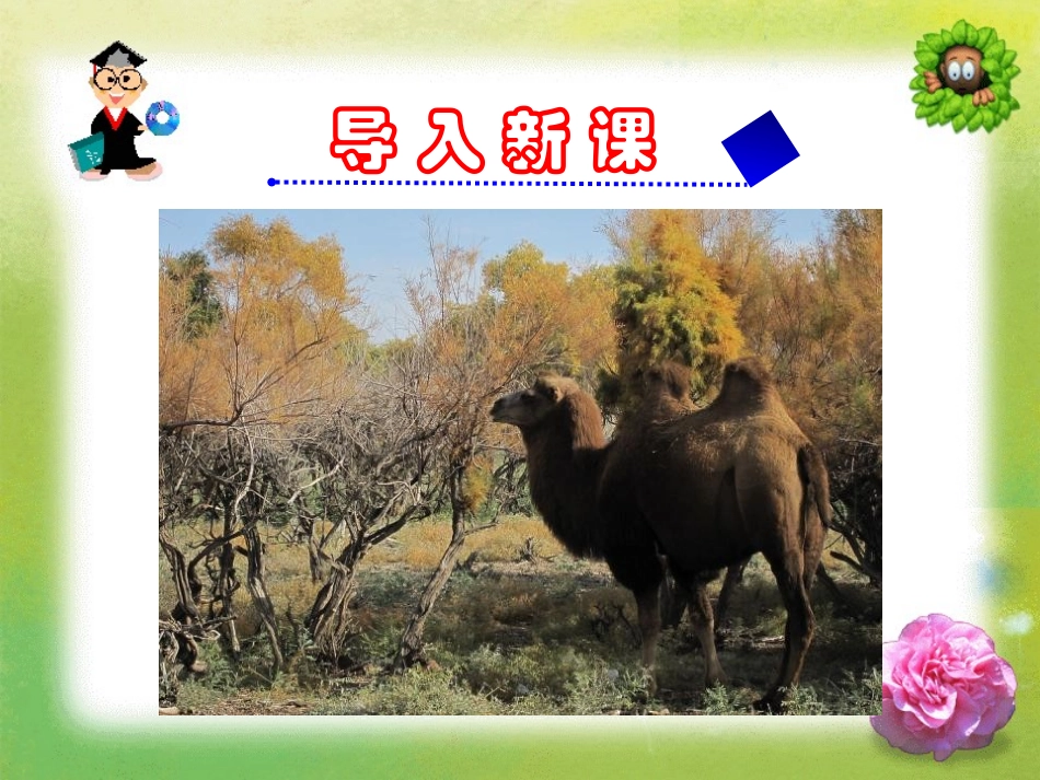 《找骆驼》PPT课件[鲁教版三年级语文下册]_第2页