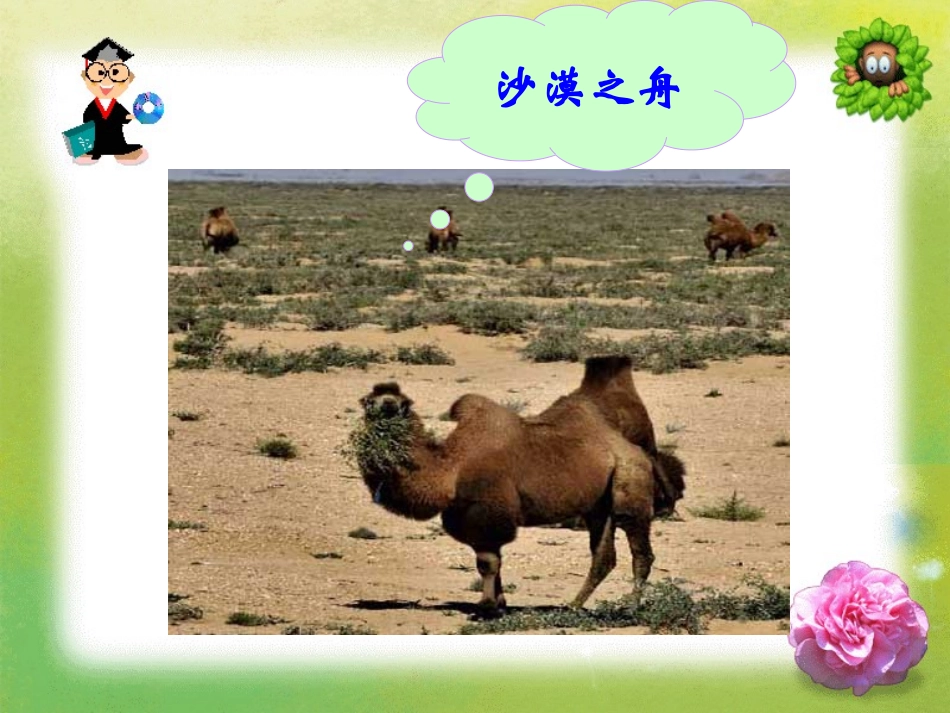 《找骆驼》PPT课件[鲁教版三年级语文下册]_第3页