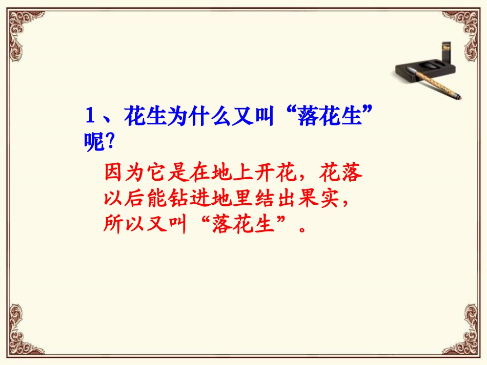 《落花生》PPT课件[鲁教版四年级语文下册]_第1页