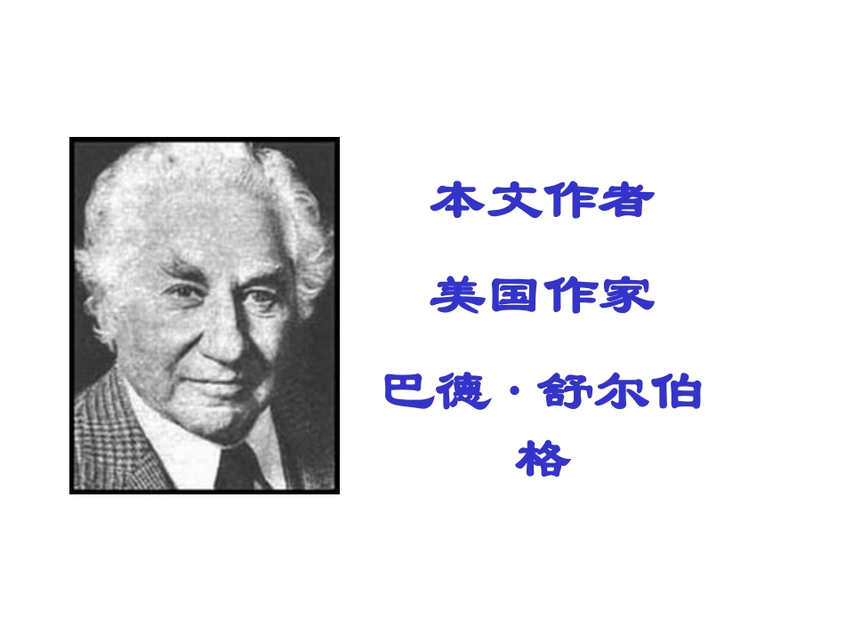 《“精彩极了”和“糟糕透了”》PPT课件[鲁教版四年级语文]_第2页