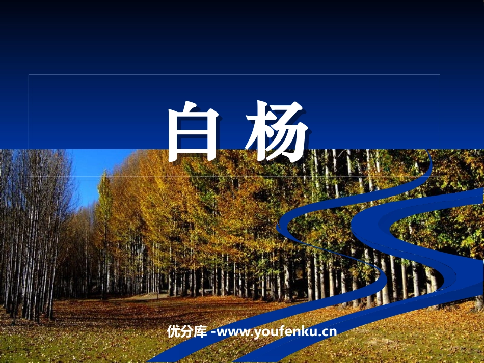 《白杨》PPT课件[鲁教版四年级语文下册]_第1页