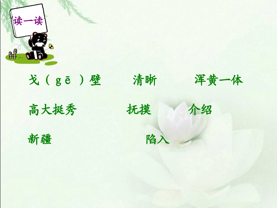 《白杨》PPT课件[鲁教版四年级语文下册]_第2页