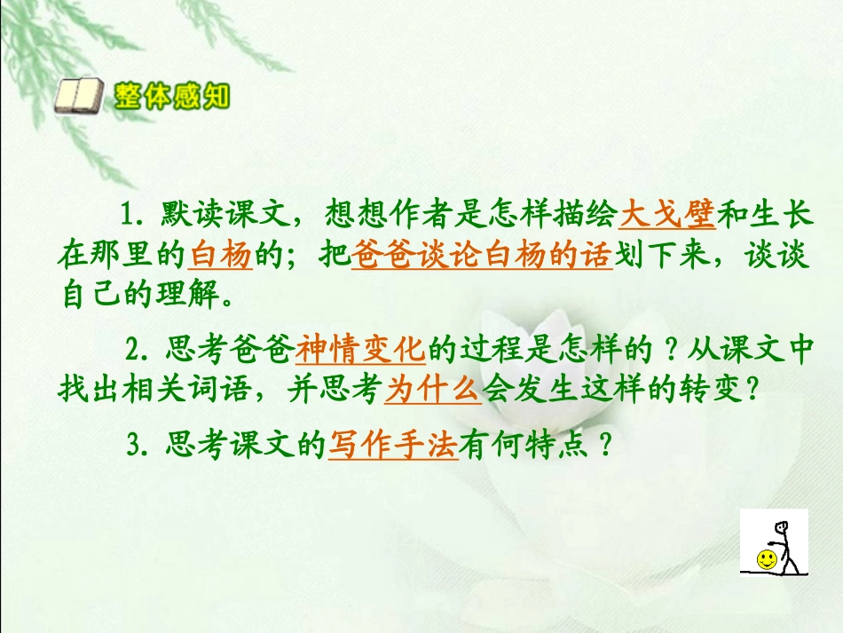 《白杨》PPT课件[鲁教版四年级语文下册]_第3页