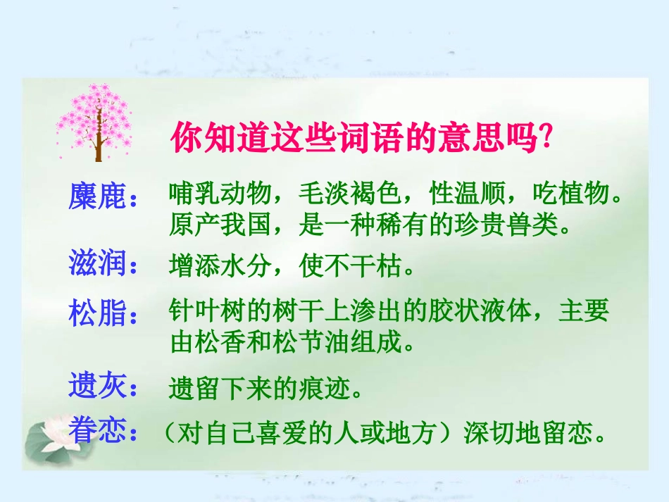 《这片土地是神圣的》PPT课件[鲁教版四年级语文下册]_第3页