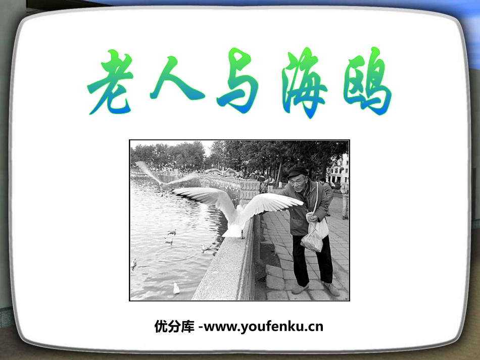 《老人与海鸥》PPT课件[鲁教版五年级语文下册]_第1页
