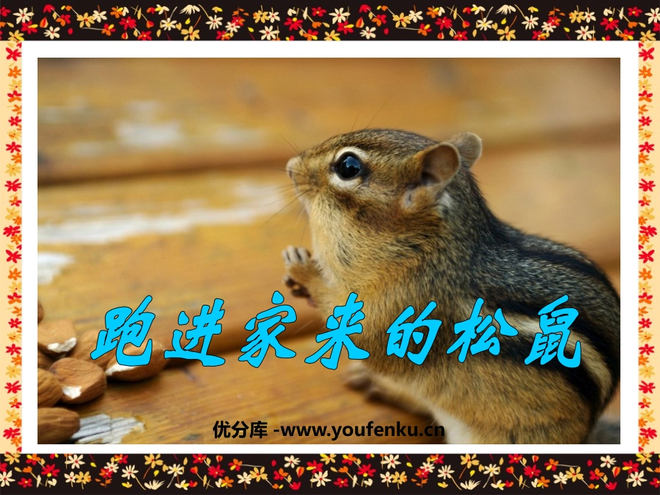 《跑进家来的松鼠》PPT课件[鲁教版五年级语文下册]_第1页