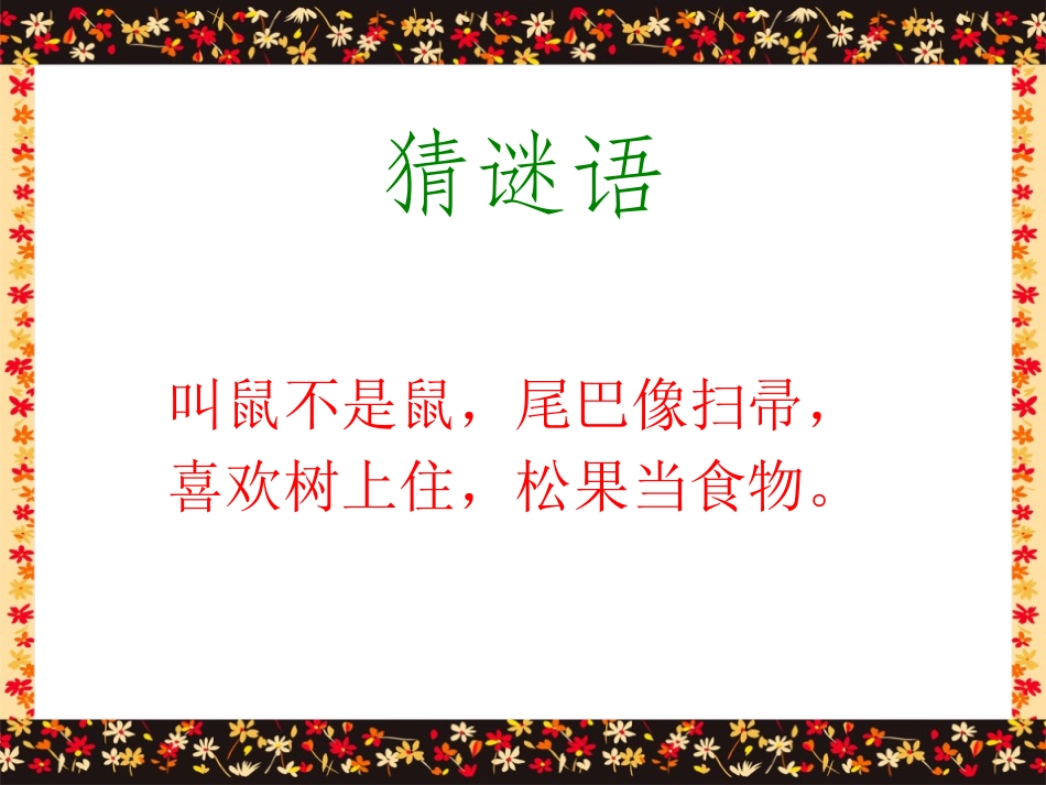 《跑进家来的松鼠》PPT课件[鲁教版五年级语文下册]_第2页
