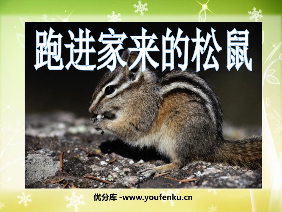 《跑进家来的松鼠》PPT课件[鲁教版五年级语文下册]_第1页