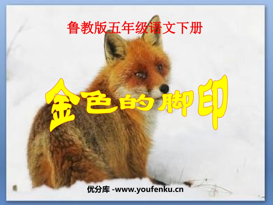 《金色的脚印》PPT课件[鲁教版五年级语文下册]_第1页