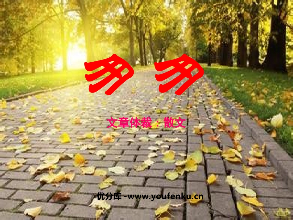《匆匆》PPT课件[鲁教版五年级语文下册]_第1页