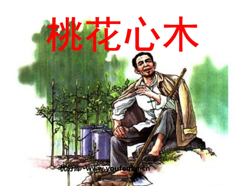 《桃花心木》PPT课件[鲁教版五年级语文下册]_第1页