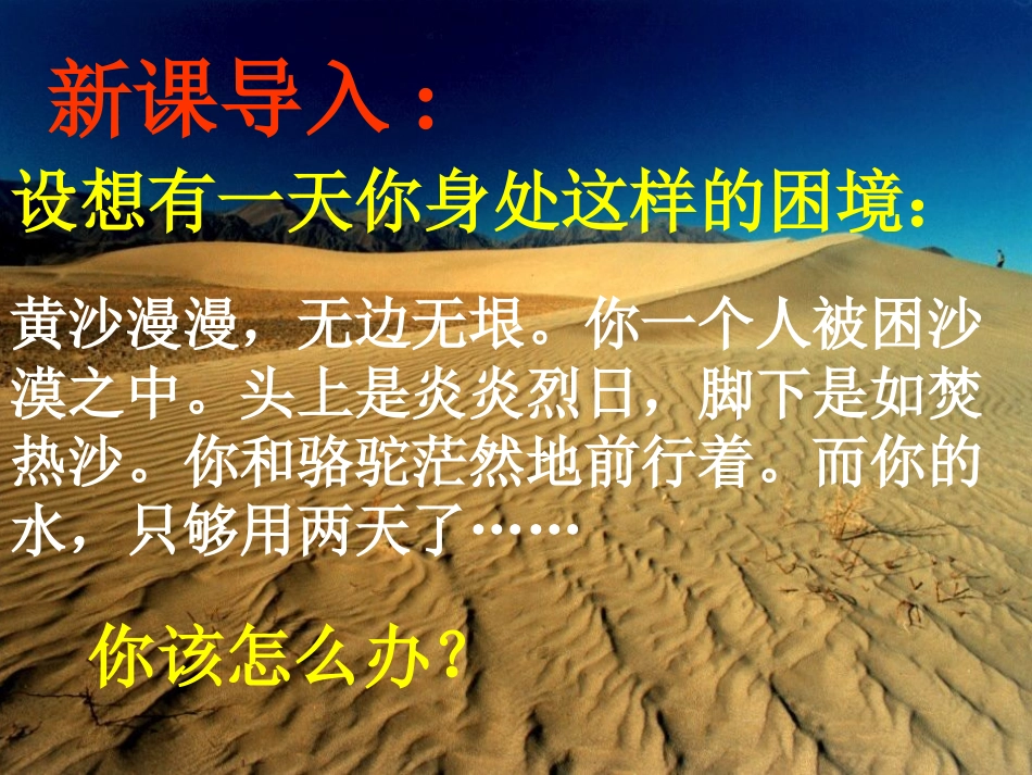 《鲁滨逊漂流记》PPT课件[鲁教版五年级语文下册]_第2页