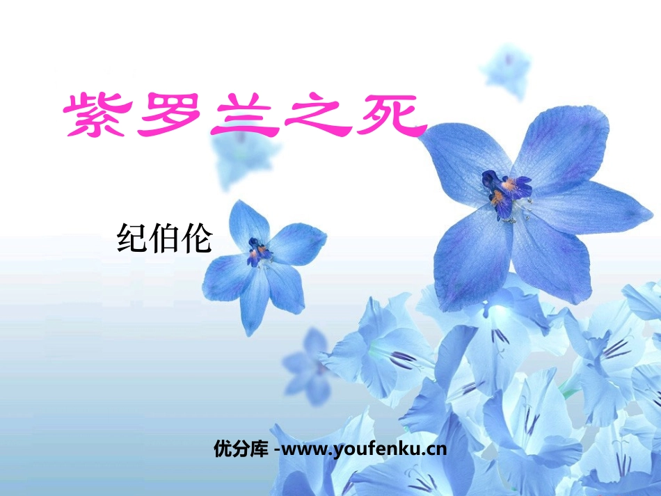 《紫罗兰之死》PPT课件[鲁教版六年级语文下册]_第1页